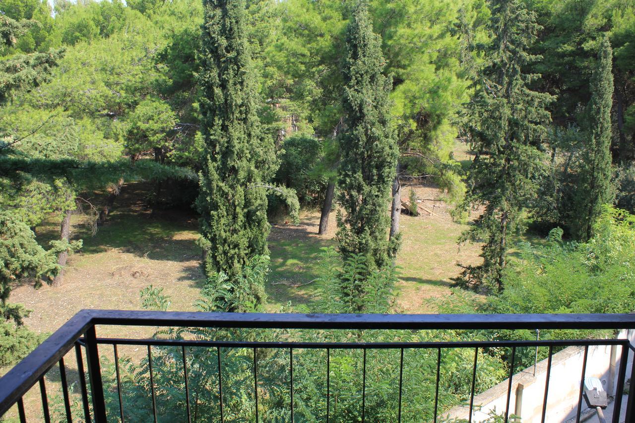 B&B Il Giardino In Citta - Parcheggio Privato Gratuito Foggia Exterior foto